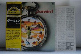 Banco / Darwin - Japan G/f W/obi