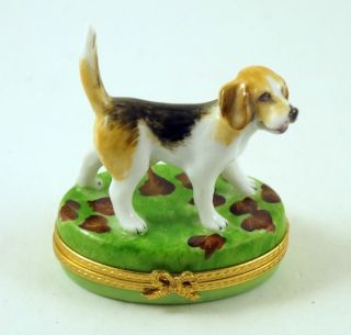 Hand Painted French Limoges Trinket Box Cute Beagle Dog Puppy On Fall Leaves