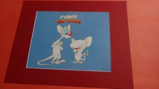 Matted Pinky And The Brain Cel Cell Animation Art