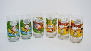Vintage Camp Snoopy Mcdonalds Glasses 1983 Set Of 6 Glasses