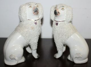 Matching Pair Antique Staffordshire Dogs Collar Confetti Poodles Spaniels