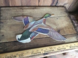 Cardboard Duck,  Advertising Piece,  Remington Or Other Type