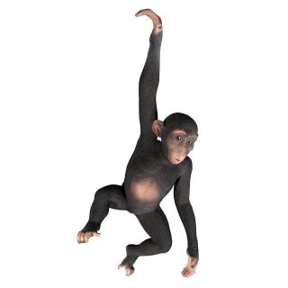 Monkey Chimp Chimpanzee Statue African Animal Garden Sculpture Hanging Art Decor