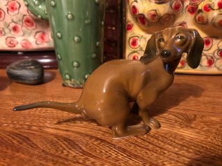 Classic Rose Rosenthal Germany Pooping Dachshund Dog Figurine
