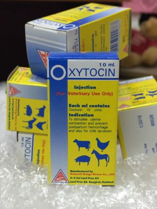 Express For Kevin 3 Bottles Oxy - N 10 Ml.  For Farm Animals Exp 2021
