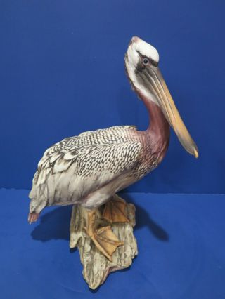 Kaiser Brown Pelican 534 Figurine Ltd Ed 15/1200 Artist Signed Tagliariol