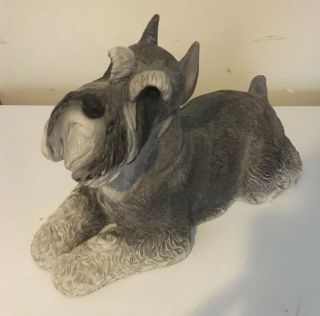 17 " Life Size Sandicast Dog Sculpture,  Gray Schnauzer,  Signed Sandra Brue - J456