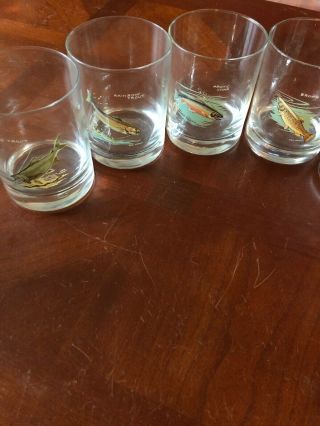 Set Of 8 Vintage Drinking Glasses Ned Smith Fish Series Sailfish Blue Marlin
