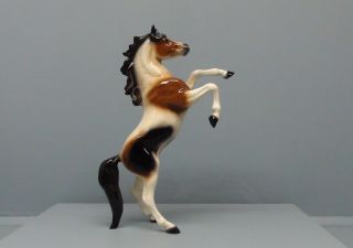 Special Hagen Renaker Dw Rearing Pinto Fez Arabian Horse Only 35 Made In Pinto
