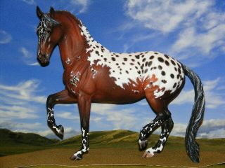 Ooak Breyer Custom Horse Celestine Mare X D.  Williams Stunning
