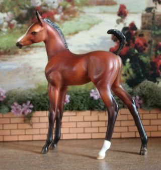 Peter Stone Model Horse Arabian Foal By Jackie Turner
