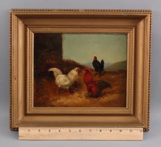 C1900 Antique American Country Farm 2 Roosters & Chicken Oil Painting,  Nr