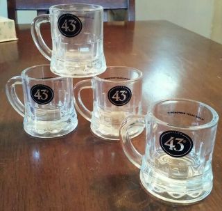 Set Of 4 Licor 43 Mini Beer Mug Shot Glasses Embossed Bottom