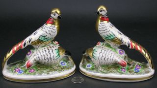 Pair Chelsea House Hand Painted Porcelain Birds Pheasants Figurine Gold Anchor