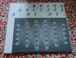 Brainwaltzera - The Kids Are Ai Ep 12 " Limited Grey/silver Vinyl - 200 Only