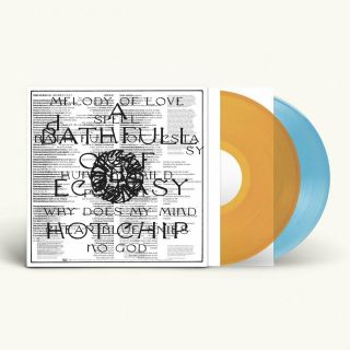 Hot Chip - A Bath Full Of Ecstasy - Coloured 2 X Vinyl Lp (2019),  Signed