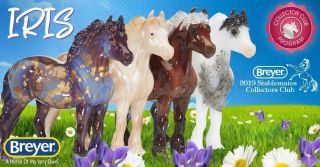 Breyer Stablemate 2019 Collectors Club - " Iris " Gamblers Choice Highland Pony