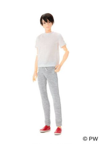 Petworks 1/6 Figure Doll One - Sixth Scale Boys Male Album Eight B1908 Pre - Order