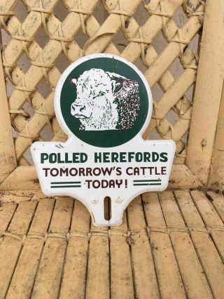 Vintage Polled Herefords Tomorrows Cattle Today Advertising License Plate Topper