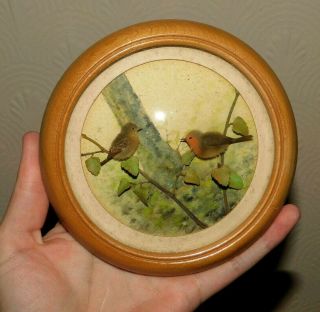 H E Hervey Miniature Framed Diorama Of A Robin & Young Vintage C.  1970 