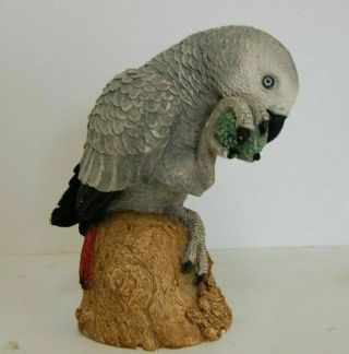 Animal Classics United Design Hand Painted African Parrot Cc - 206 Art Statue
