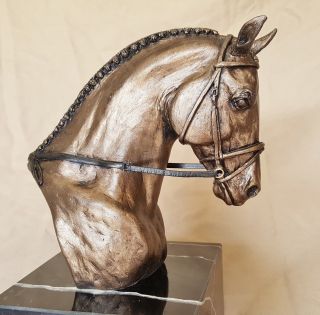 Dressage Horse Warmblood Sculpture,  Statue,  Figurine