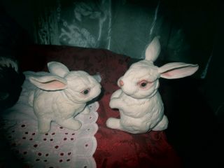 2 Boehm Rabbits So Cute.