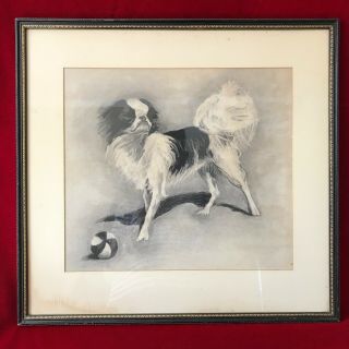 Framed Antique Japanese Chin Dog Charcoal Drawing 16.  75 " X 17.  75 "