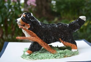 Bernese Mountain Dog.  Handsculpted Ceramic Ooak.  Look