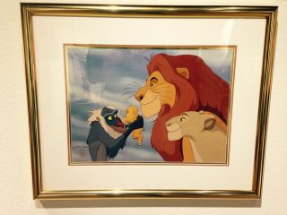Disney - Circle Of Life - Hand Painted Cel Framed