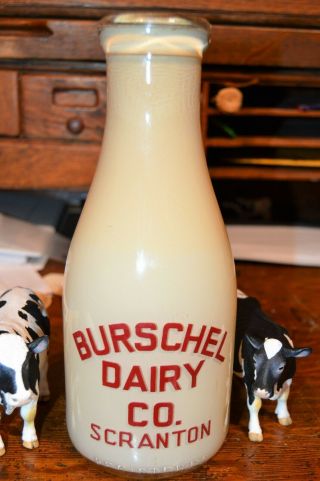 Trpq Display Sample Burschel Dairy Co Scranton Pa Cream Line Sales
