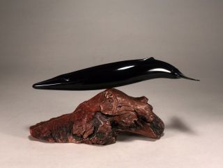 Fin Whale " Ebonite " Sculpture Direct From John Perry 12in Long Statue Decor