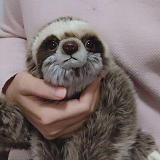 Cute Sloth Bradypod Plush Doll Wild Animal Stuffed Toy Kid Gift 35cm