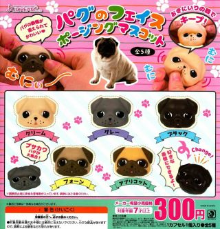 J.  Dream Pug Face Posing Gashapon 5set Mascot Capsule Toys Figures Complete Set