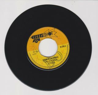 Big Shot/ Queen Of The World - Lloyd And Claudette (70 Boss Skinhead7 ")