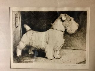 Morgan Dennis (1892 - 1960) Terrier Dog Etching,  Signed/numbered 58/200