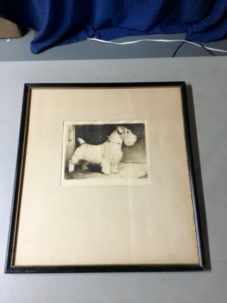 MORGAN DENNIS (1892 - 1960) Terrier Dog Etching,  SIGNED/NUMBERED 58/200 2