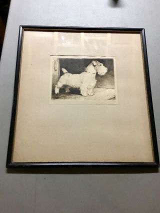 MORGAN DENNIS (1892 - 1960) Terrier Dog Etching,  SIGNED/NUMBERED 58/200 5