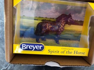 Breyer Stablemate 2019 Collectors Club Iris Gamblers Choice Highland Pony