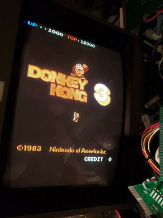 Nintendo Donkey Kong 3 Arcade Machine Pcb Boardset 100