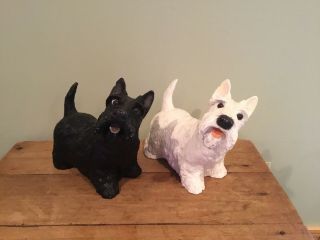 Universal Statuary Corp Black&white Scotty - Scottish Terrier Dogs 14x11
