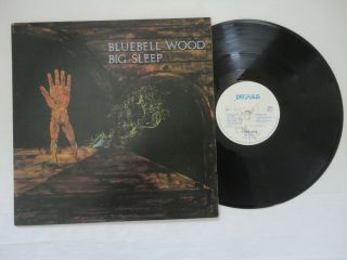 Big Sleep,  Bluebell Wood,  Rare Prog,  1971 Pegasus Uk 1st Press A - 1u B - 1u,  Near