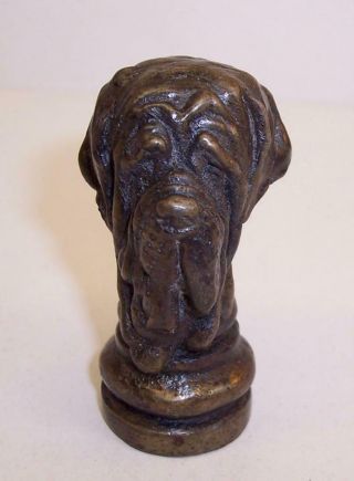 Vintage/Antique SOLID BRONZE Miniature MASTIFF DOG HEAD Sculpture QUALITY Bust 3