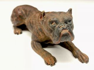Wonderful Old Antique Cold Painted Bronze Brindle Boxer Dog Figure