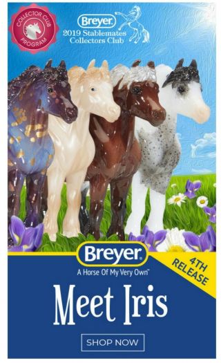 Breyer Iris 2019 Stablemate Collector 