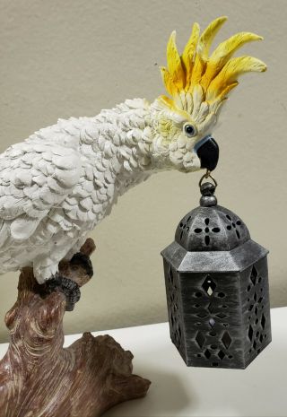 Marty The Cockatoo Resin Hand - Painted Exotic Bird Led Lantern
