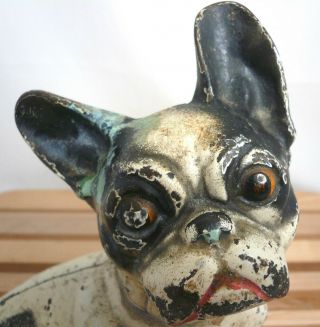 Antique Authentic Hubley Cast Iron French Bulldog Doorstop w/ Paint 2