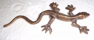 Keeler Bronze Lizard 1898 Solid Brass Gecko Antique Rare Reptile 5 "