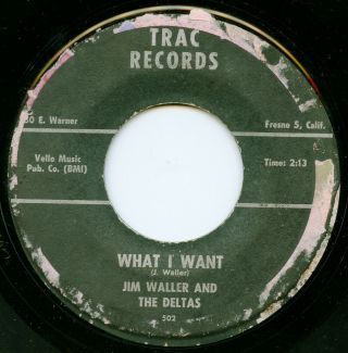 Jim Waller & The Deltas On Trac —what I Want— Garage Surf Mod R&b Rock 45 Listen