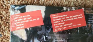 Ted Nugent If You Can ' t Lick ' em LP Record Vinyl 3